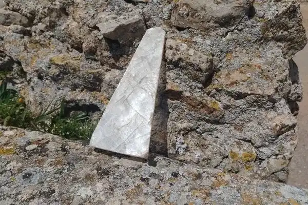 Imagen representativa de Los espejos de lobos