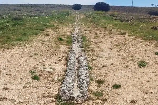 Imagen representativa de El acueducto plano de Segóbriga