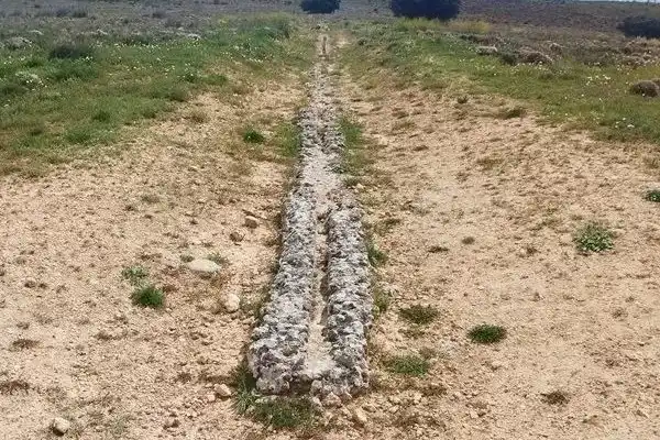 Imagen representativa de El acueducto plano de Segóbriga