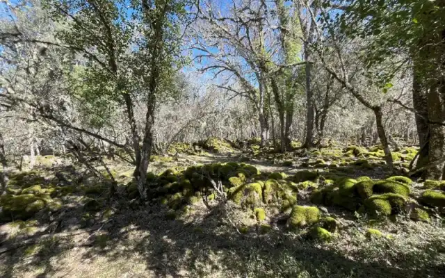 Imagen representativa de Los Casares: restos de un castro celtíbero en Valdemoro de la Sierra