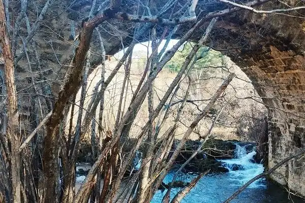 Imagen representativa de Puente medieval de Los Chorros