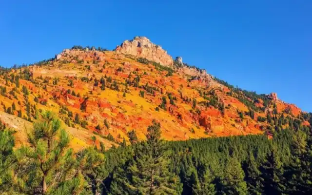 Imagen representativa de VIII Edición Día de la Serranía en Campillos Paravientos