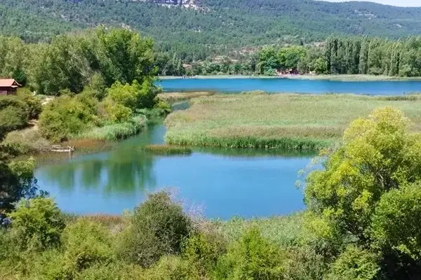 Imagen representativa de Laguna de Uña, un refugio de vida silvestre