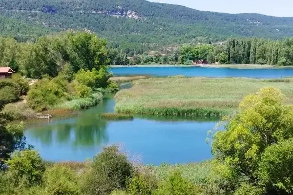 Imagen representativa de Laguna de Uña, un refugio de vida silvestre