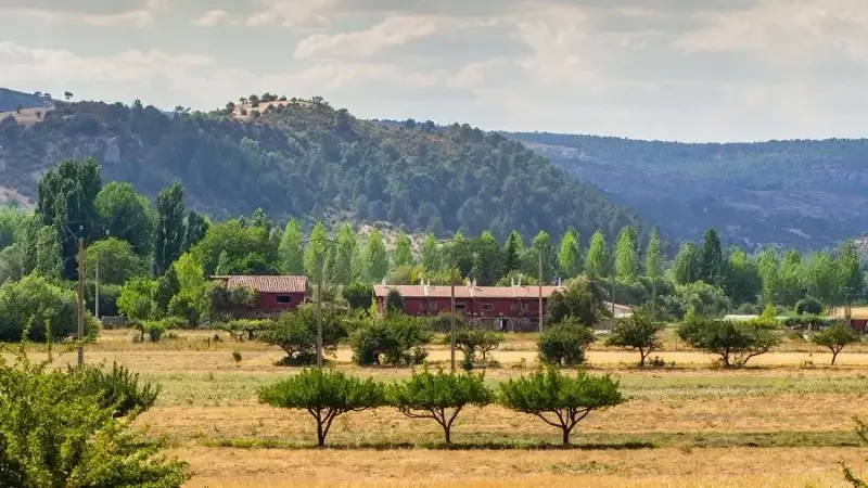 Imagen de portada del artículo: La Trufa Madre. Casas rurales en Vega del Codorno