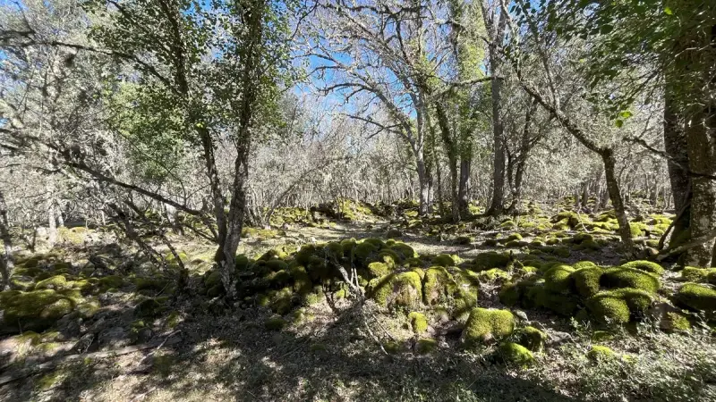 Imagen de portada del artículo: Los Casares: restos de un castro celtíbero en Valdemoro de la Sierra