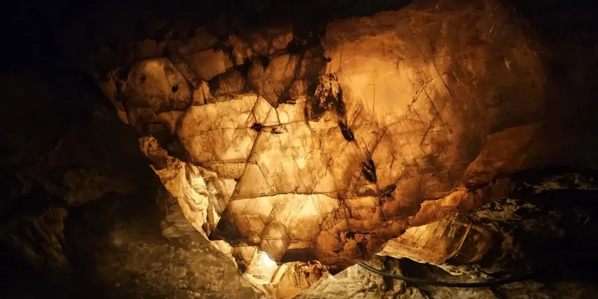 Imagen de portada del artículo: Mina romana de Lapis Specularis La Condenada