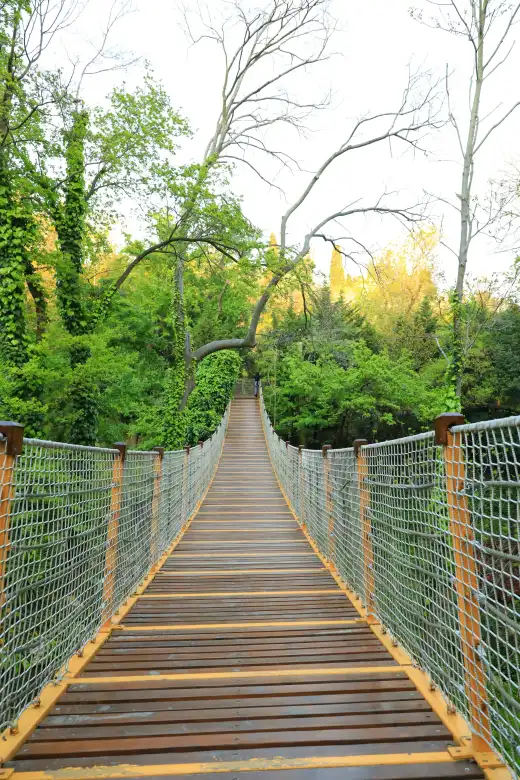 Previsualización del Mapa Interactivo