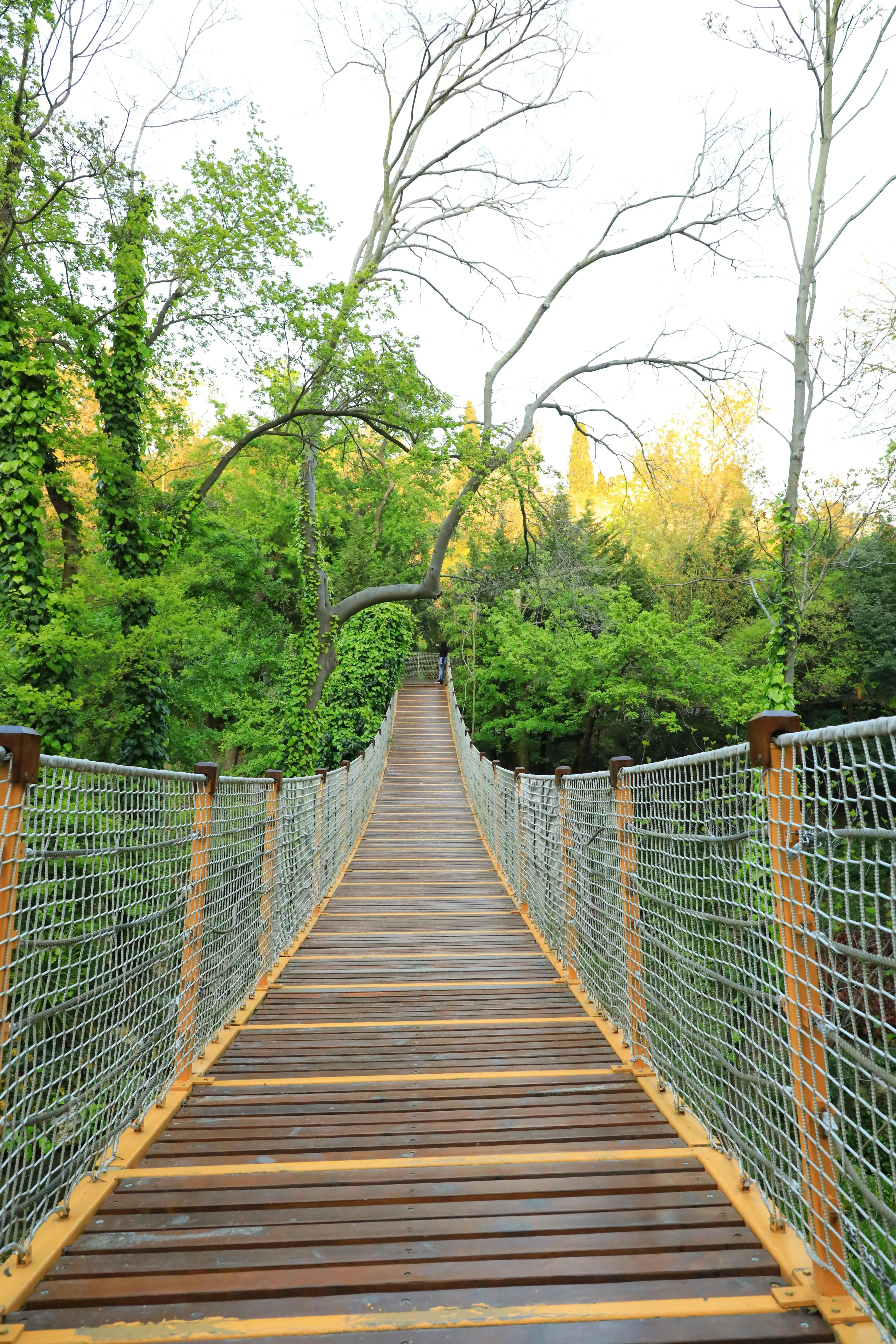 La majestuosidad de la Serranía de Cuenca
