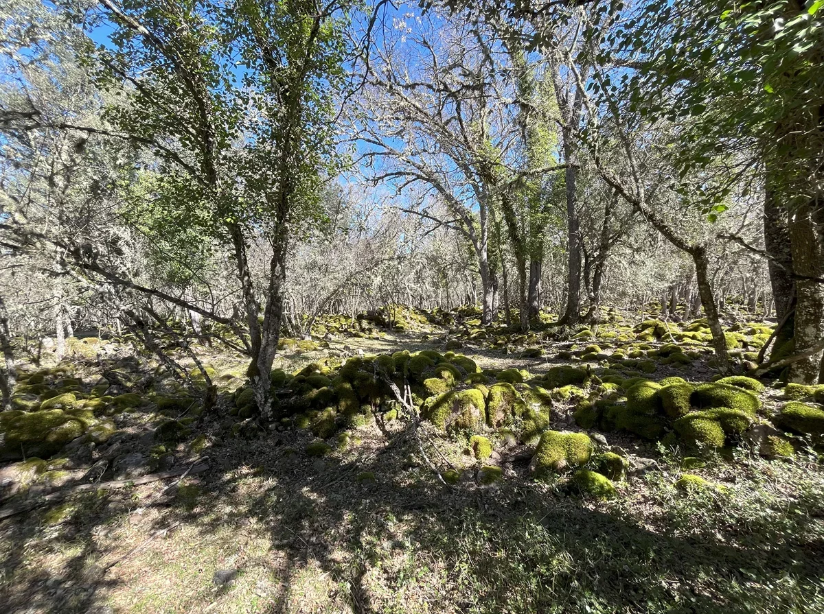 Imagen de portada del artículo: Los Casares: restos de un castro celtíbero en Valdemoro de la Sierra