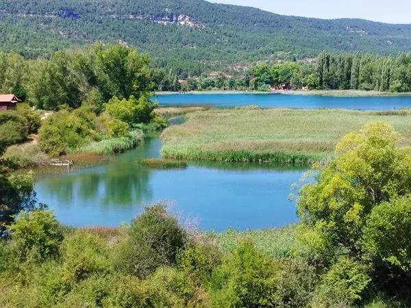 Imagen de portada del artículo: Laguna de Uña, un refugio de vida silvestre