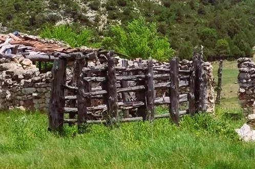 Imagen del artículo