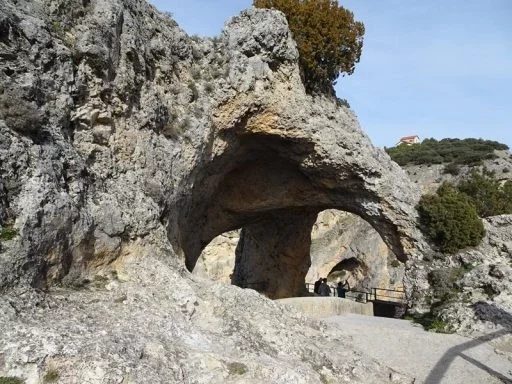Imagen del artículo