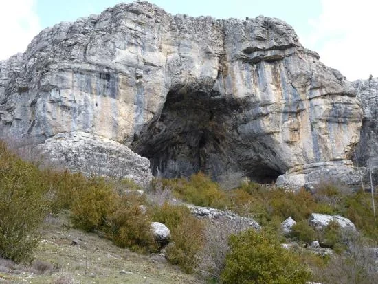 Imagen del artículo