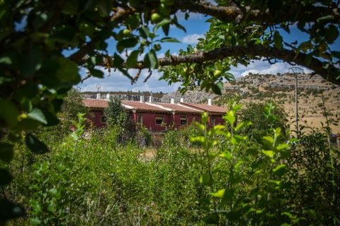 La Trufa Madre. Casas rurales en Vega del Codorno