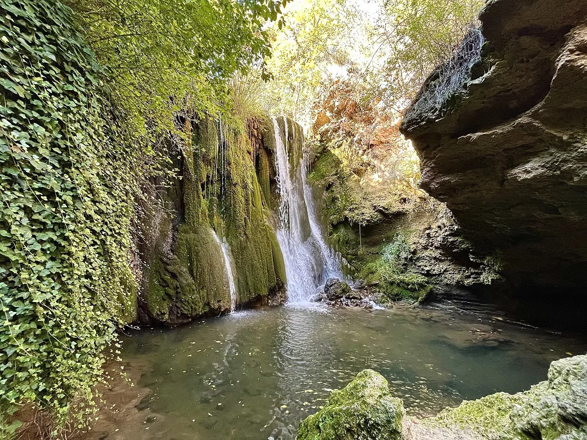 Cañete